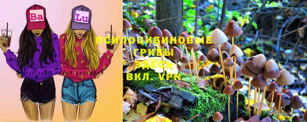 спайс Белокуриха