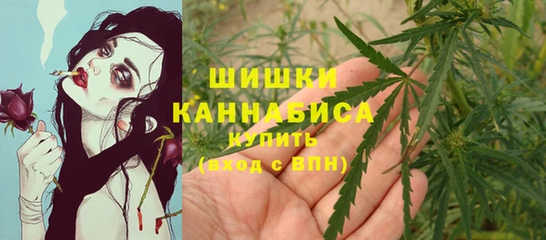 спайс Белокуриха