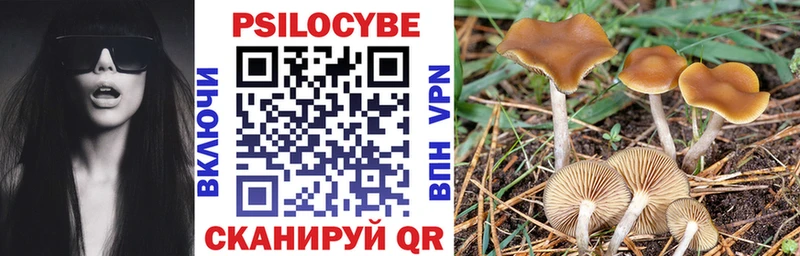 Псилоцибиновые грибы Psilocybine cubensis  Устюжна 